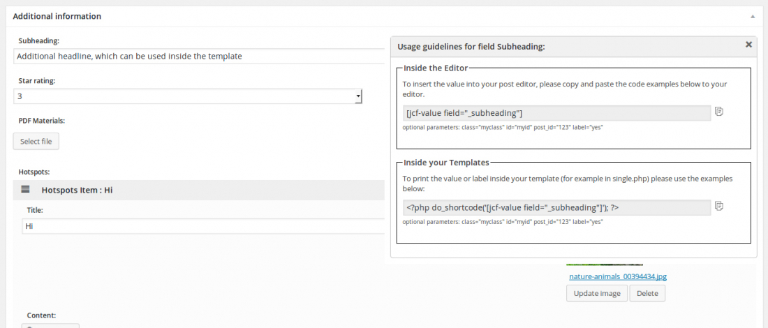 jcf3_help_popup-1100x470 Just Custom Fields for WordPress plugin