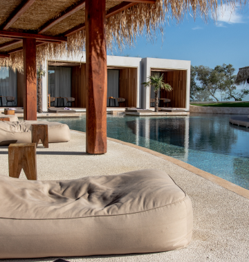 Luxury Shares case study cover