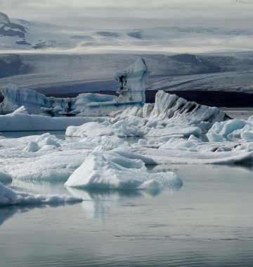 genervest crowdfunding crowdinvesting platform